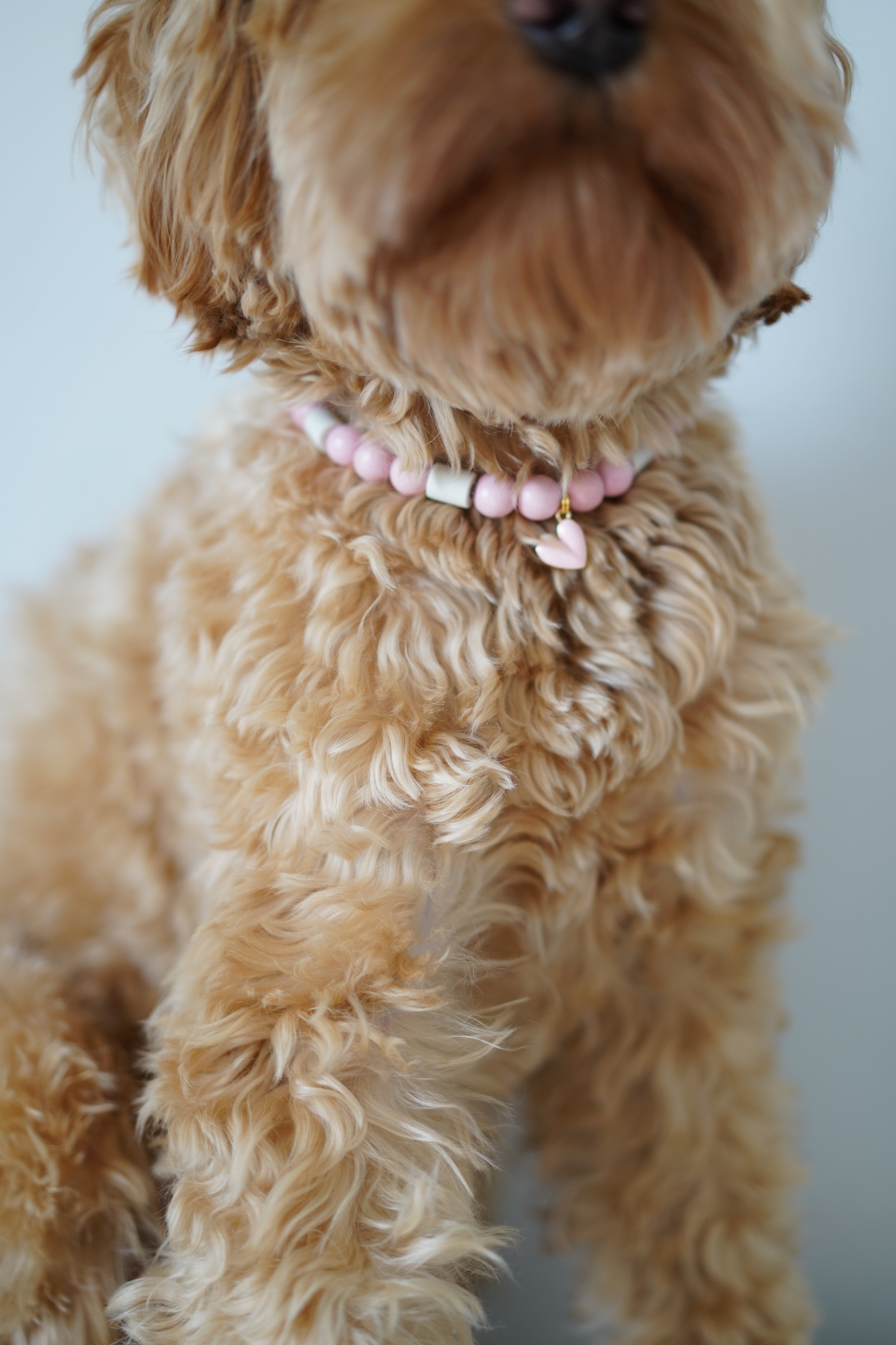 Roze anti-tekenband