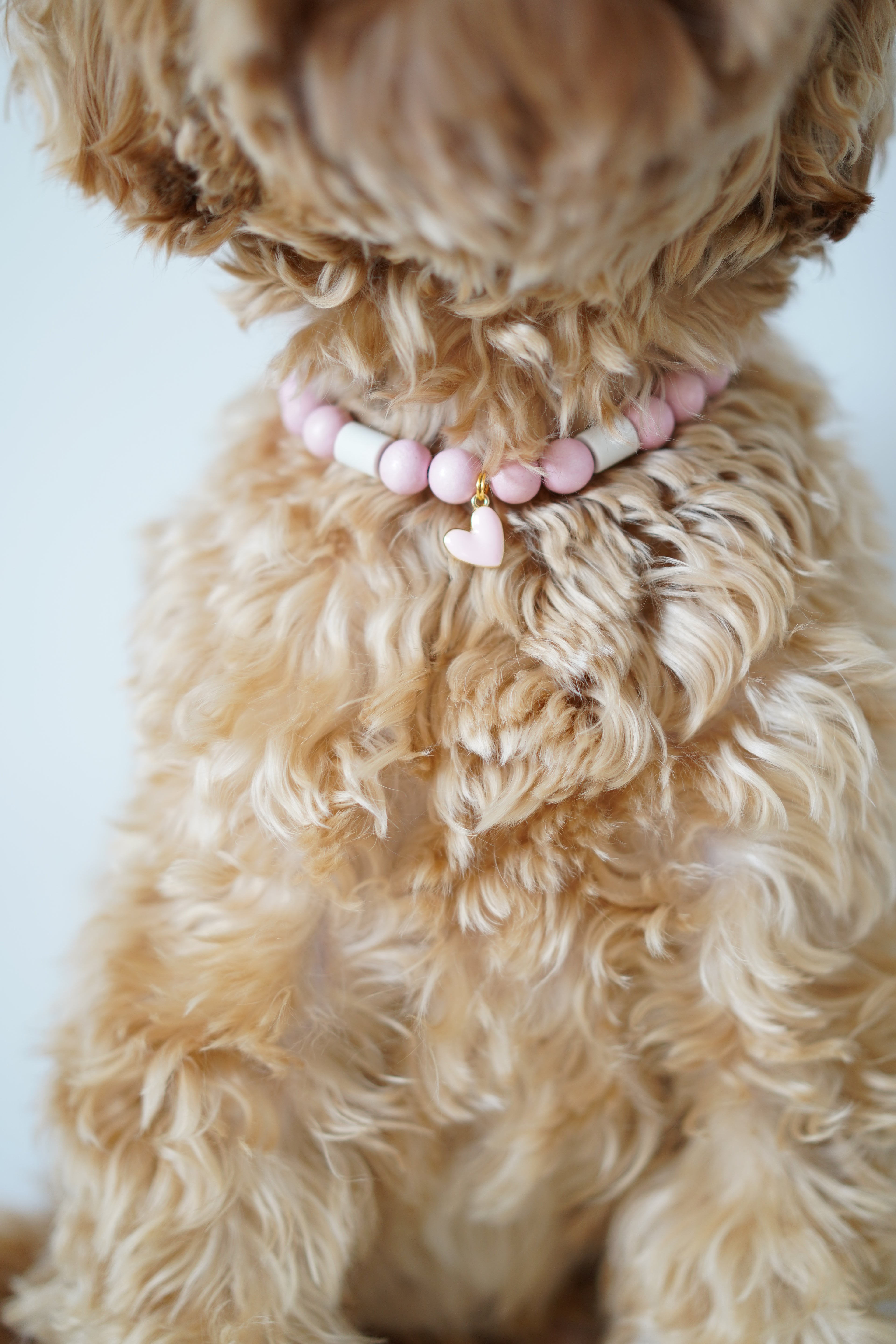 Roze anti-tekenband